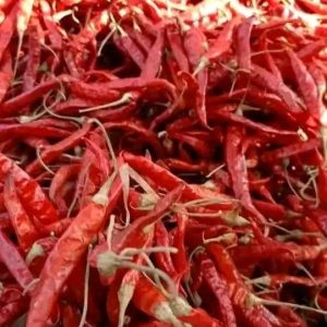 শুকনা মরিচ – পাইকারি দাম | প্রতি কেজি ৳320