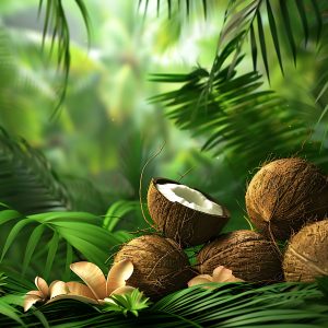 Best Quality Coconut for Wholesale